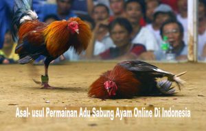 Cerita Asal Mula Sabung Ayam Online Di Indonesia